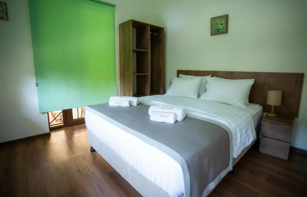 Standard Double room with mountain view (full double bed)