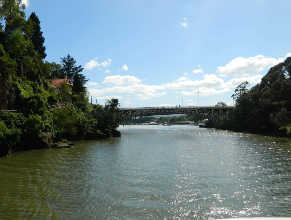 Tamar River Villas - фото 29