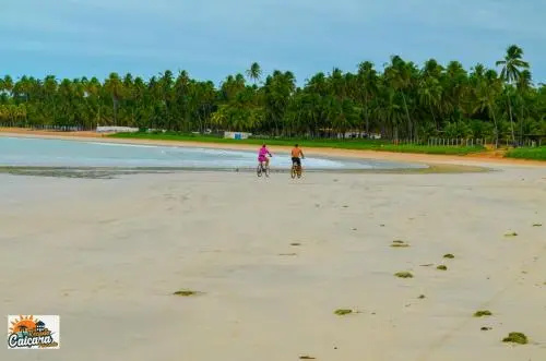 Beach & Waterfront