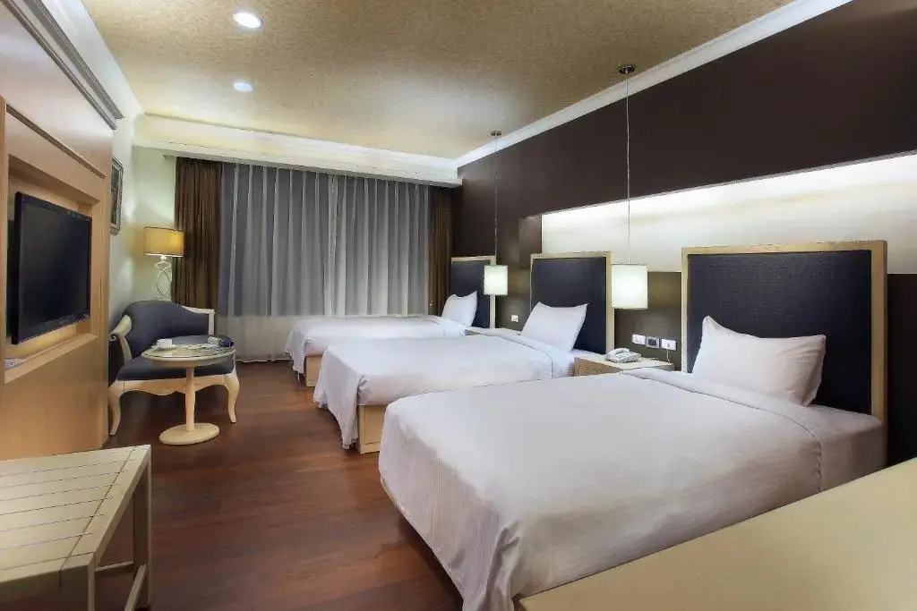 Hotel Modern Puli - Chambres