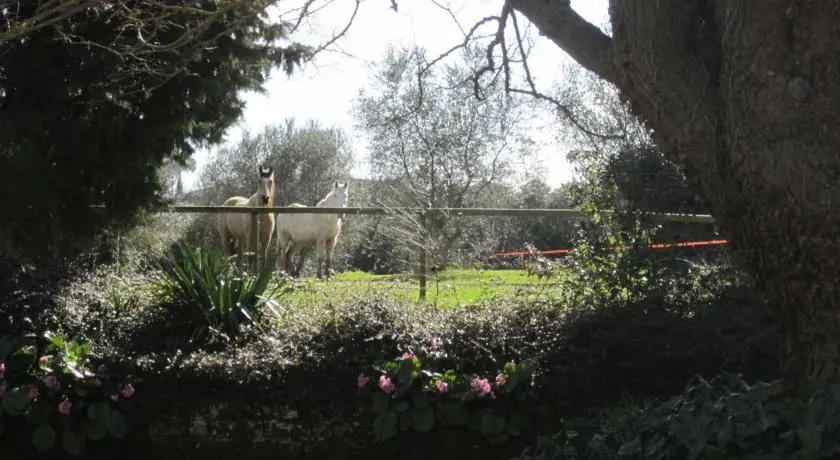 Villa Fontanelle