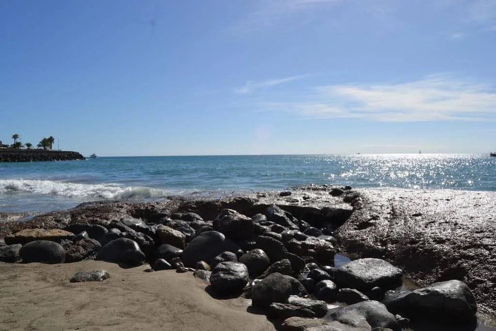 Beach & Waterfront