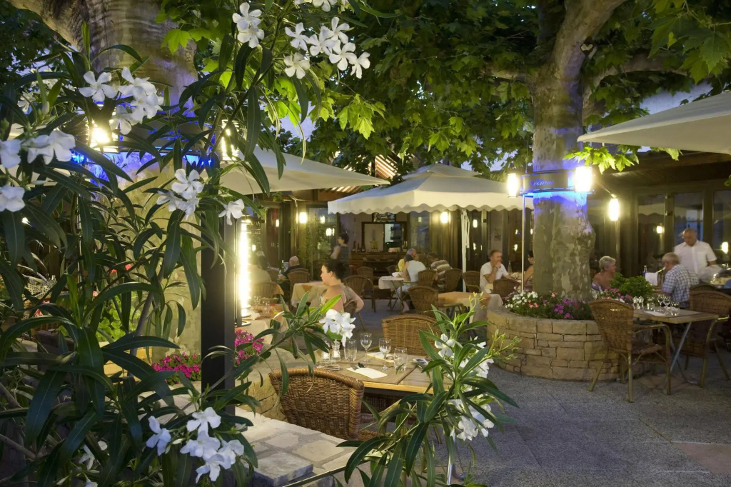 Logis Hôtel Tante Yvonne & son Restaurant semi-gastronomique Lyon Nord - Général