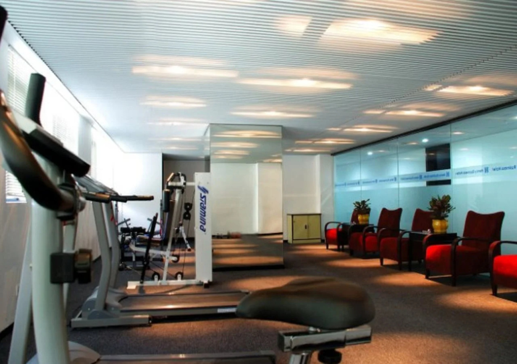 Henry Business Hotel - Général
