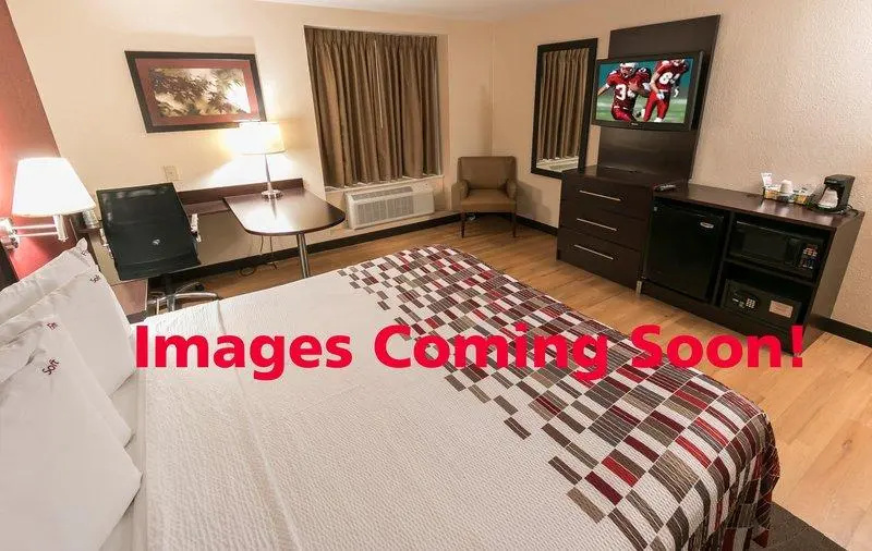 Bed in Dorm