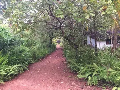 Jivana Resort