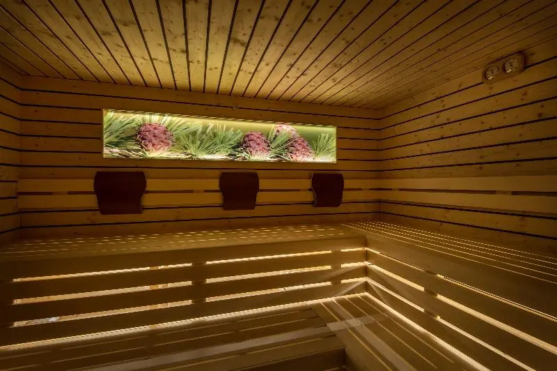 Dolomites Hotel La Fradora - Général