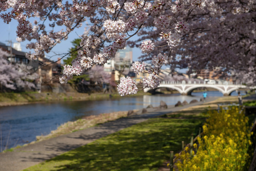 ANA Crowne Plaza Kanazawa by IHG 사진 55