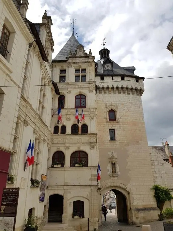 Voir la photo 2 — ☆La Récréation Lochoise☆ Maison 8pers, Zoo de Beauval