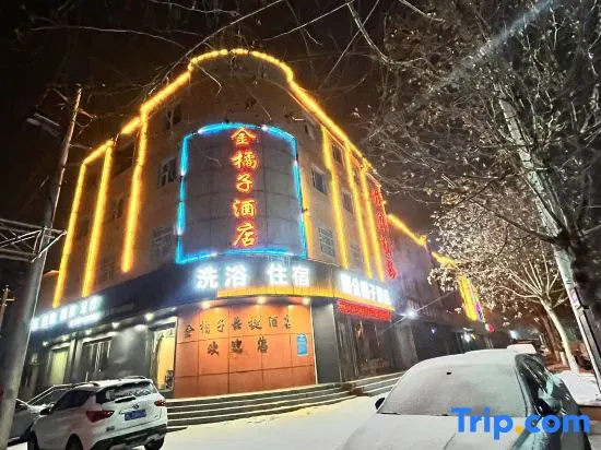 Linyi Jinjuzi Express Hotel