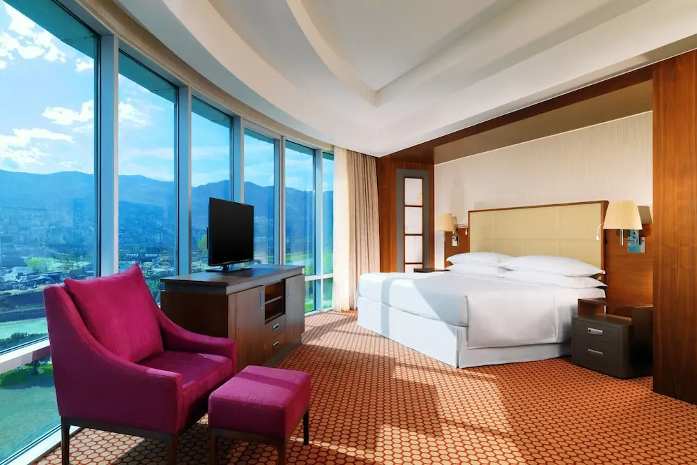Deluxe Double room with city view (full double bed)