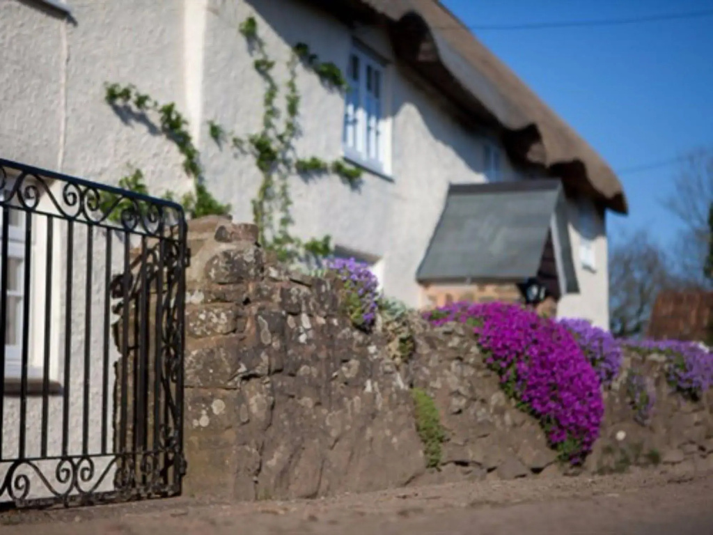 Fernside Cottage