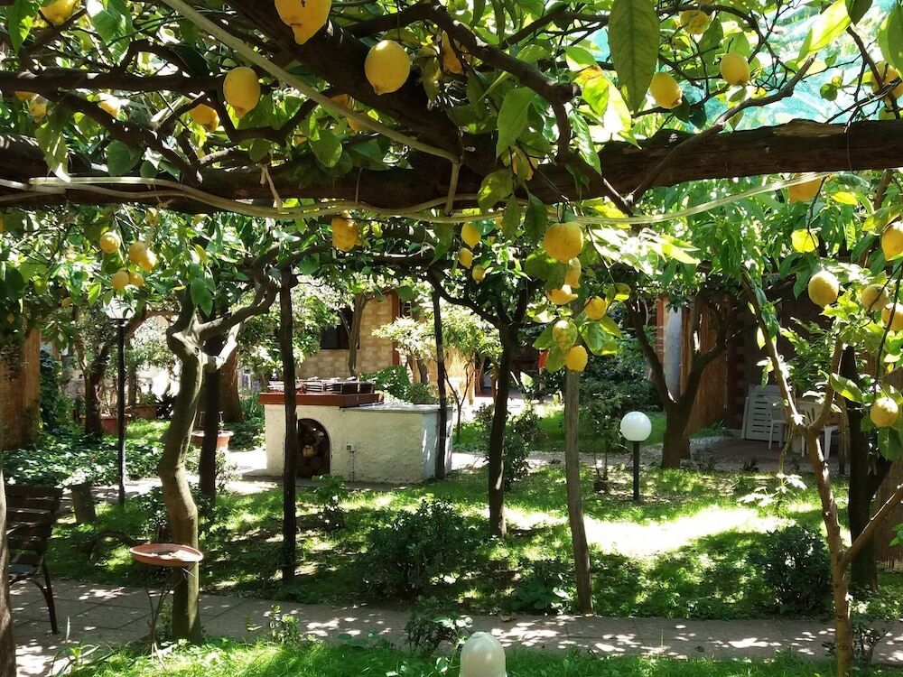 Image 10