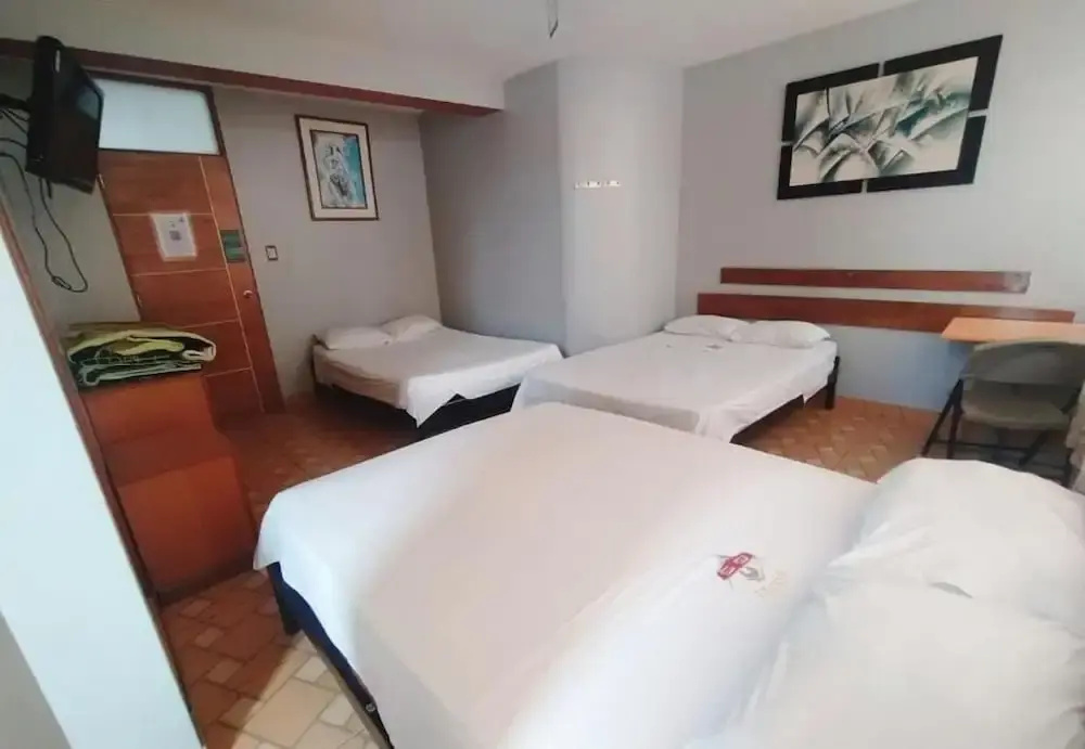 GS-HOTELES - фото 5
