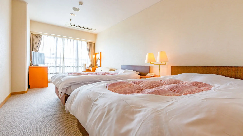Standard Double room with city view (twin beds)