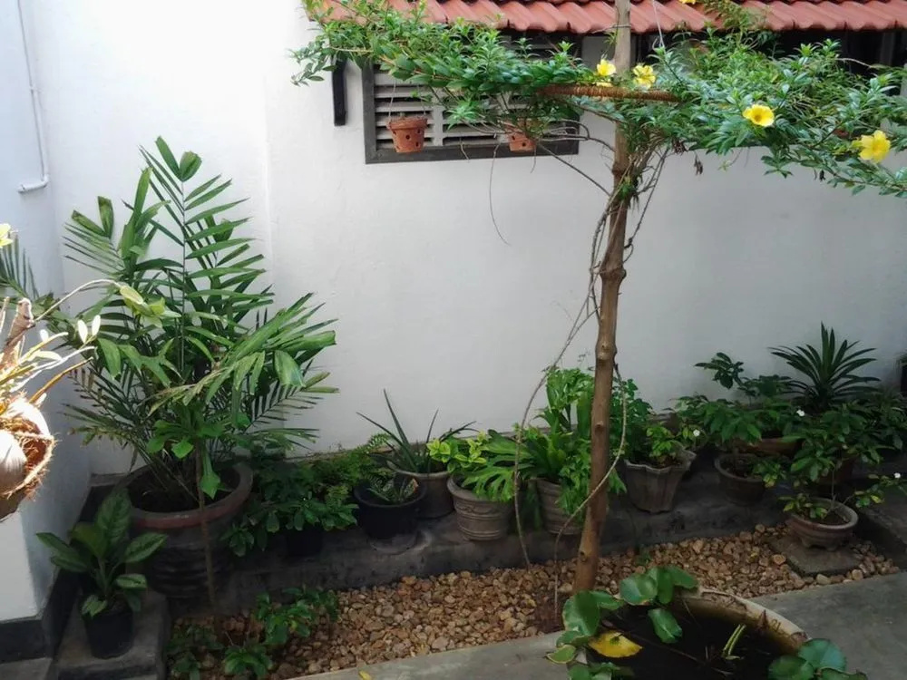 JLH Beach Hotel Hikkaduwa
