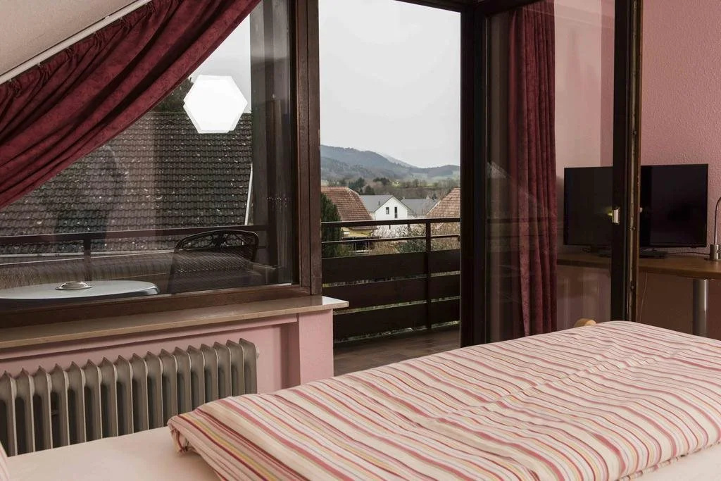 Hotel Landhaus zur Badischen Weinstraße - Général