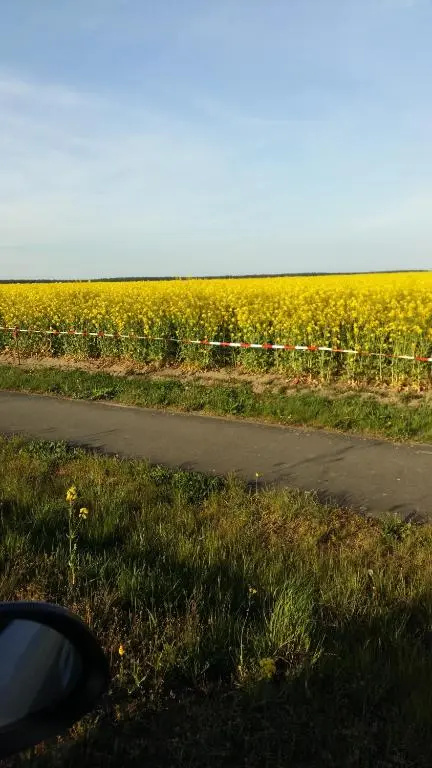 Natur-Freude-19p