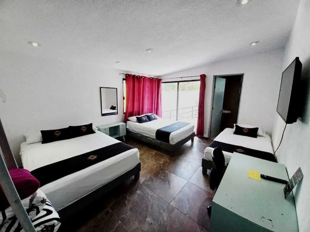 Comfort Suite
