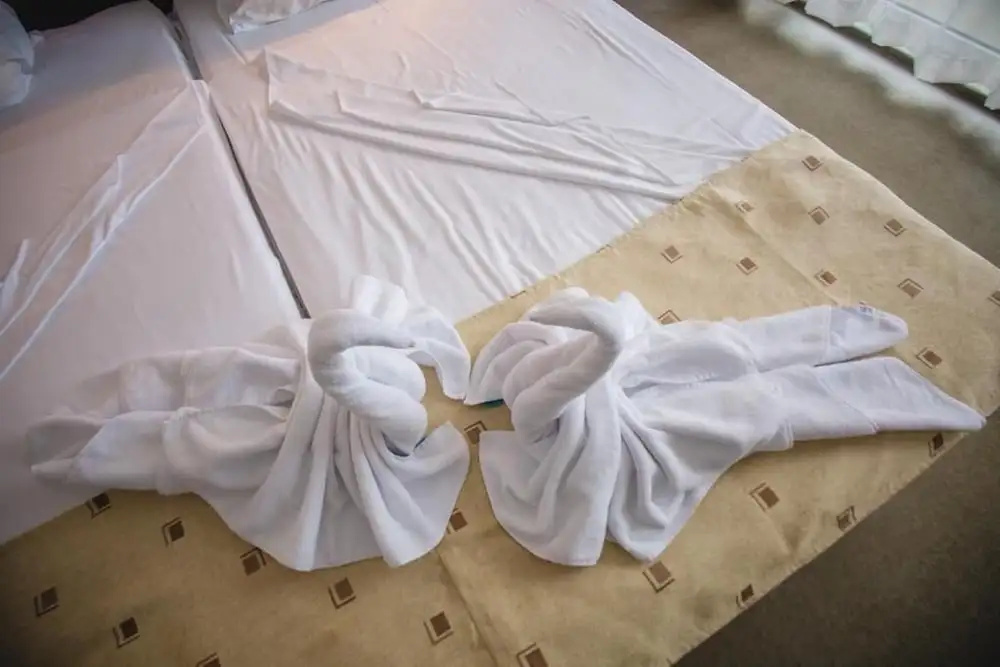 Standard Double room with balcony and with pool view (twin beds)