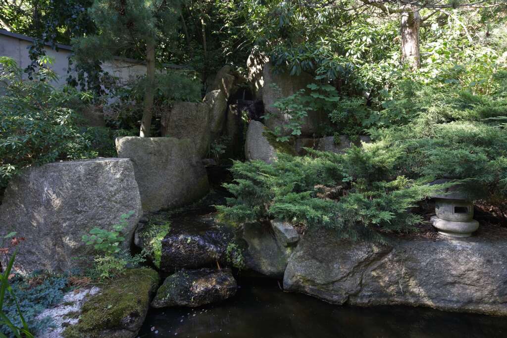 Image 17