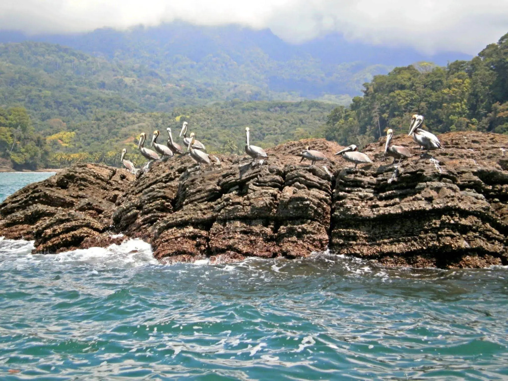 Cristal Ballena Boutique Hotel & Spa - фото 17