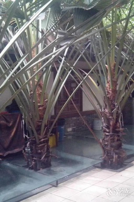 Chengdu Ancient Inn