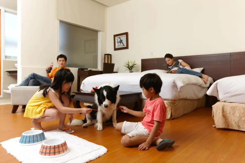 Lido Forest Resort Hotel - Chambres