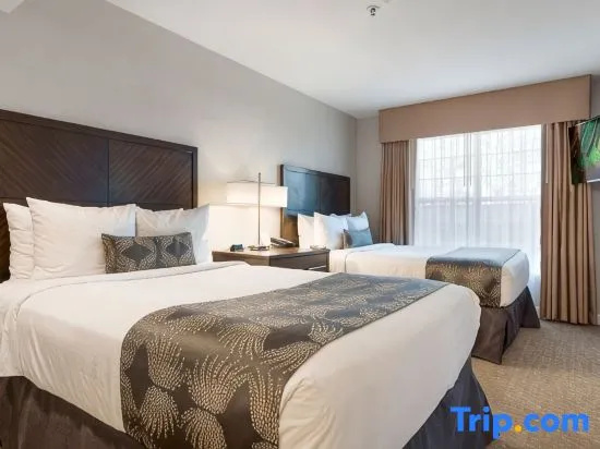 1 Bedroom Quadruple Suite