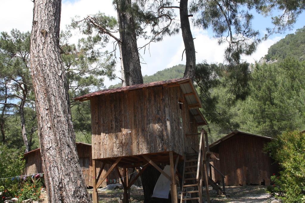 Saban Tree Houses by null