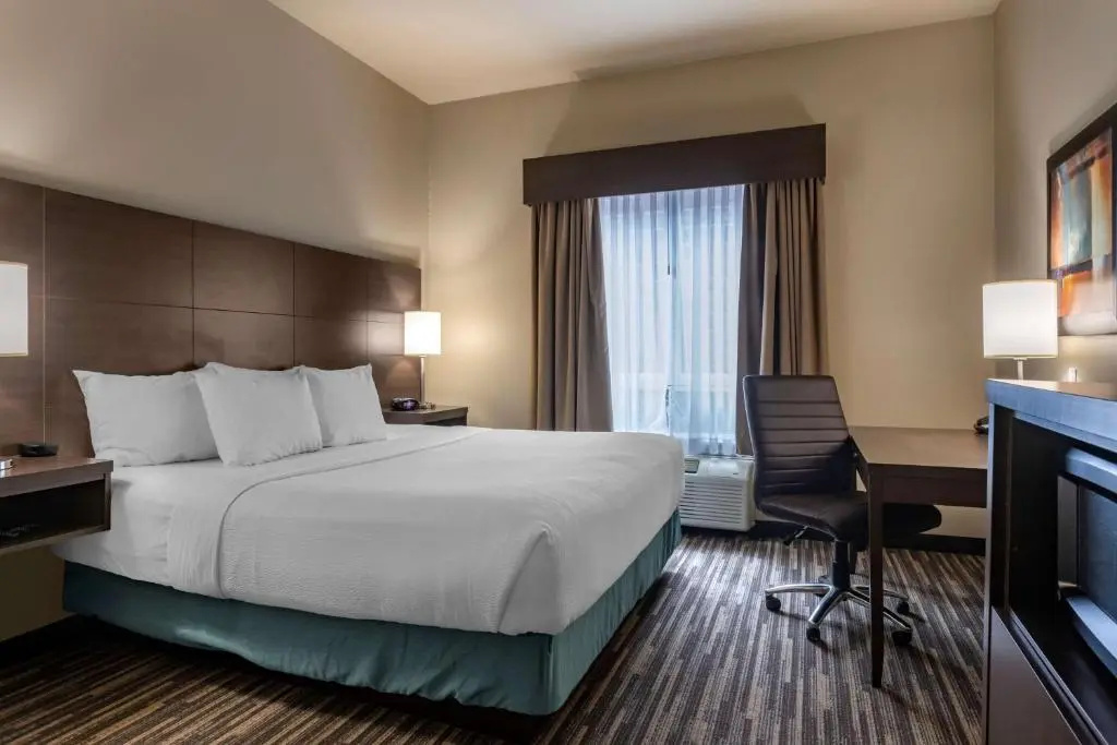 Best Western Plus Dartmouth Hotel & Suites - Chambres