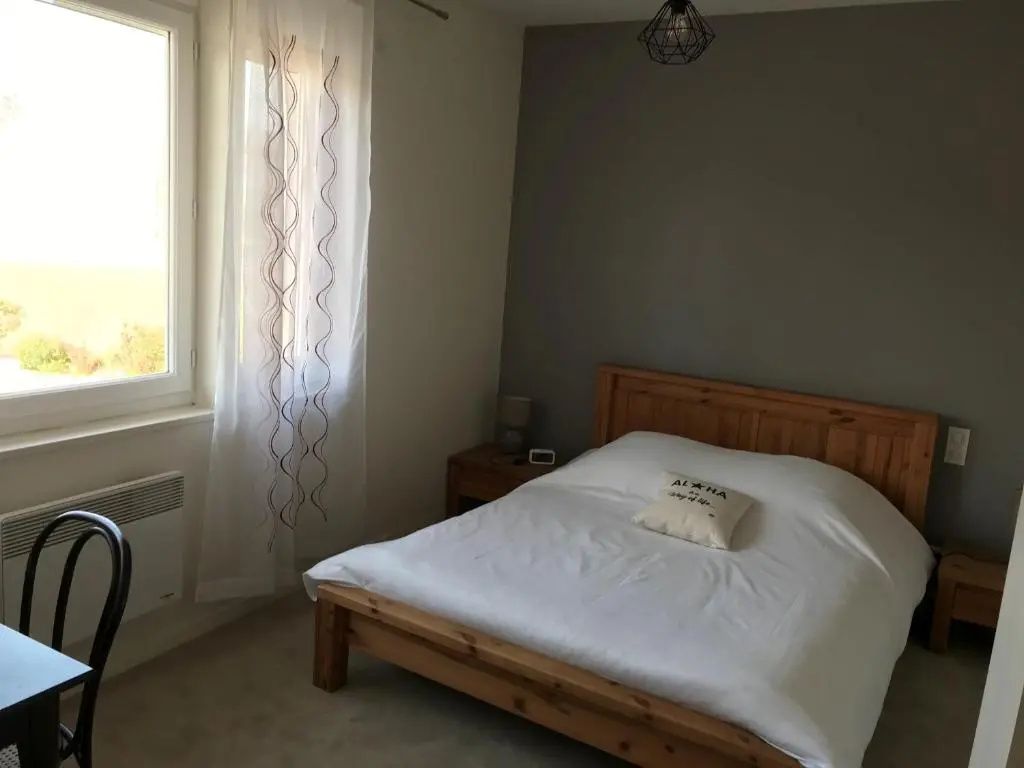 Standard Double room (full double bed)