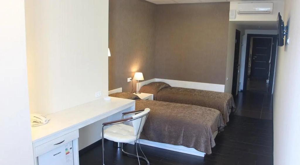 Standard Double room (twin beds)