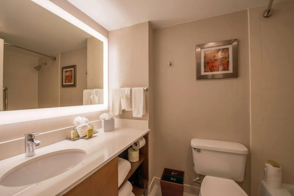 The Brookhaven Atlanta Hotel  - Général