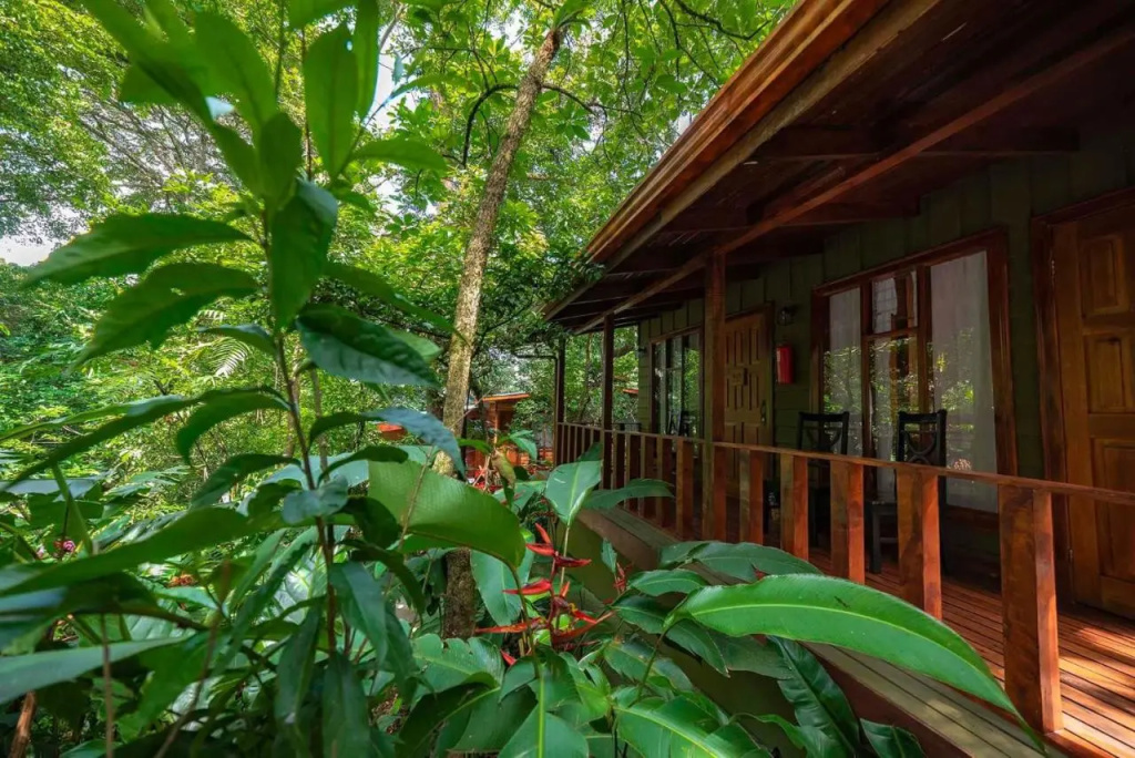 Jaguarundi Lodge - Général