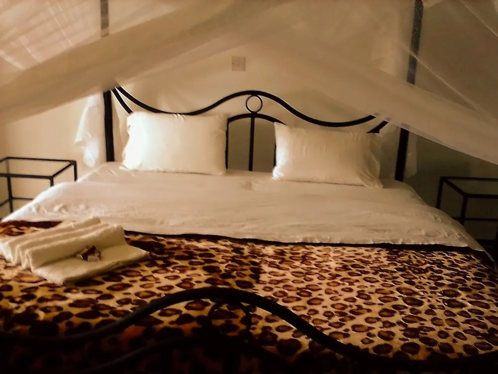 Standard Double room with mountain view (full double bed)
