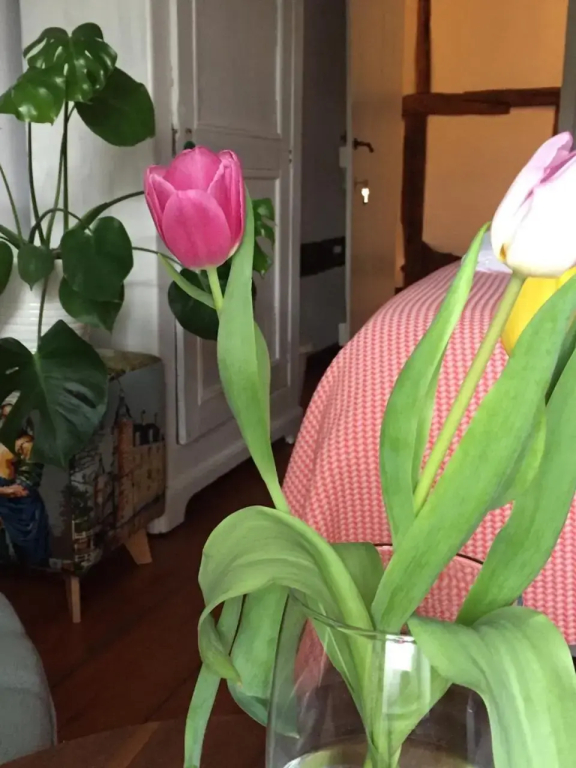 PuurTeuven B&B tussen Kunst en Natuur - фото 7