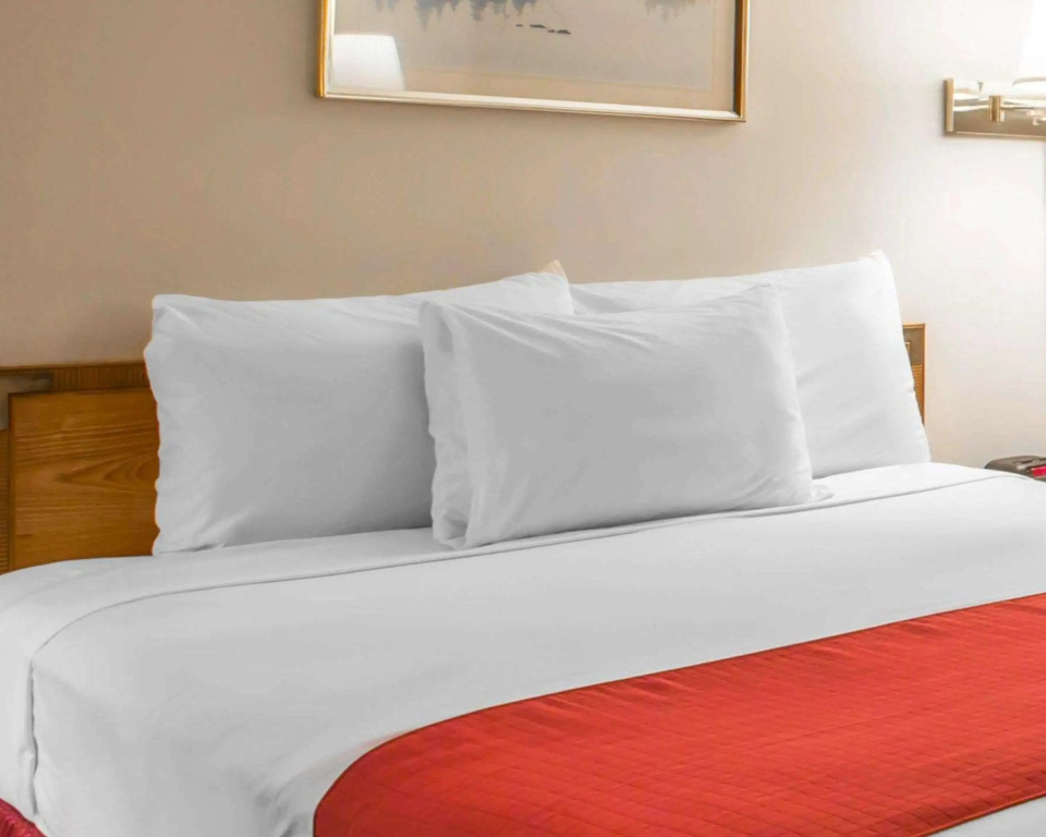 Rodeway Inn: фото 3
