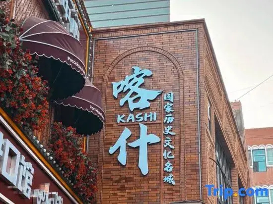 Kashgar Adenium obesum B&B