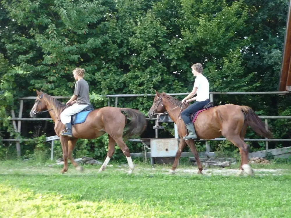 Kerca Bio Farm - фото 14