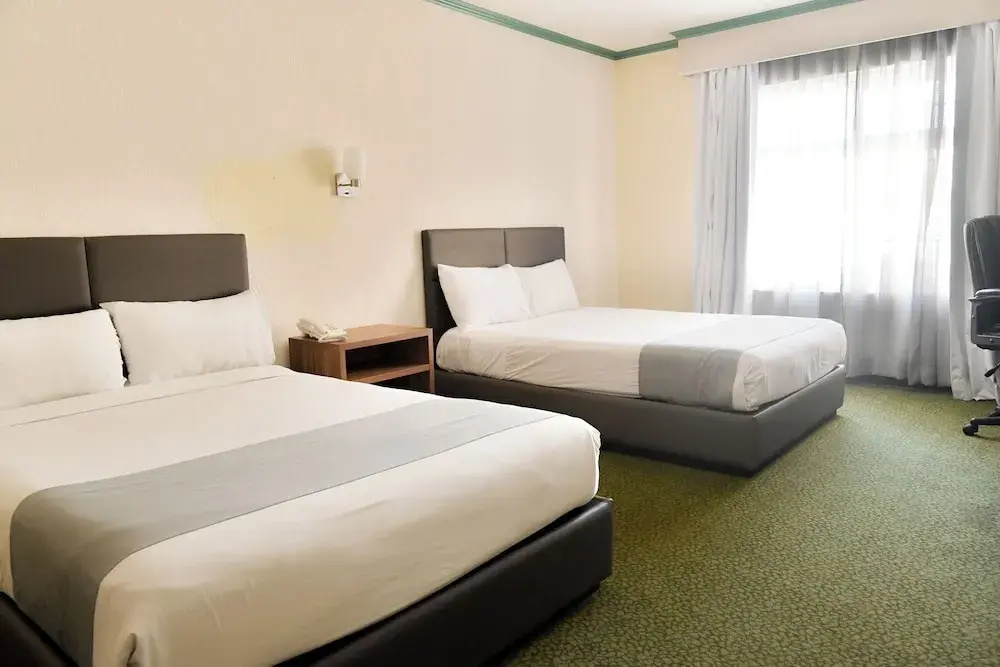 Premium Quadruple room