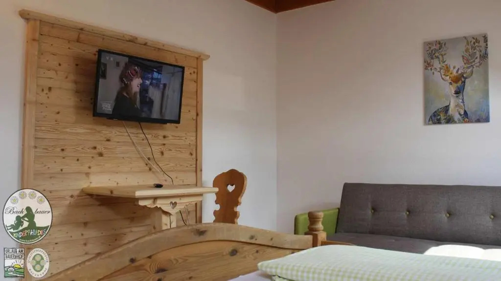 Standard Double room (full double bed)
