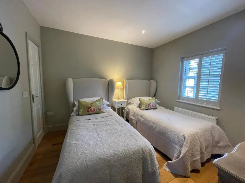 Standard Double room (twin beds)