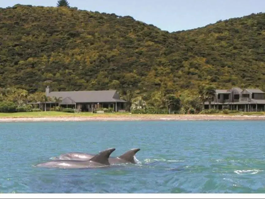 Pawhaoa Bay Villas