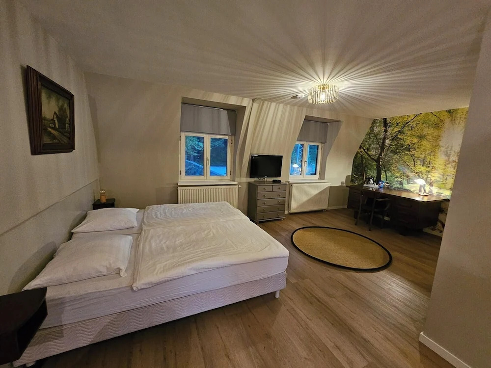 Standard Double room (full double bed)