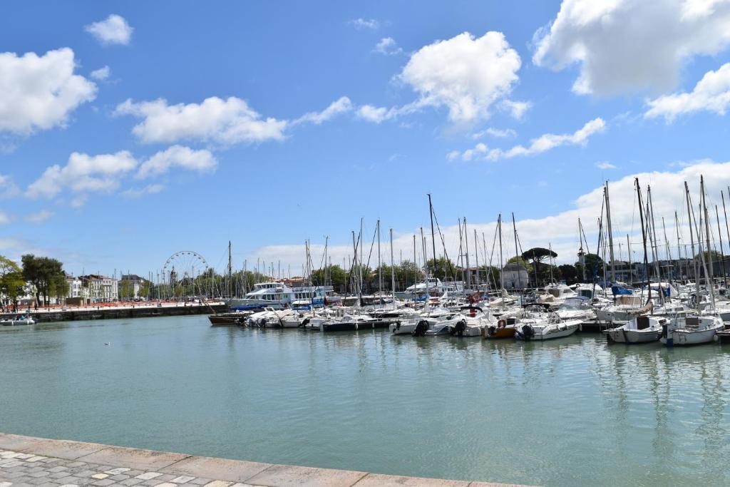 Image 10