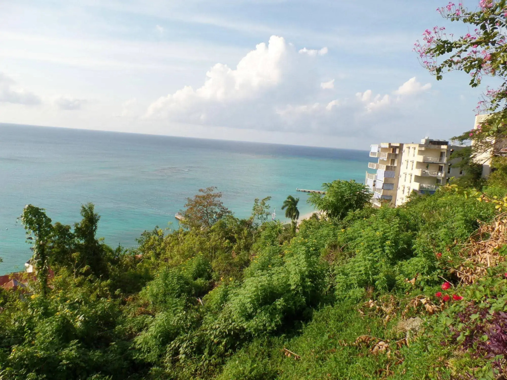 Court Manor at Montego Bay Club - Général