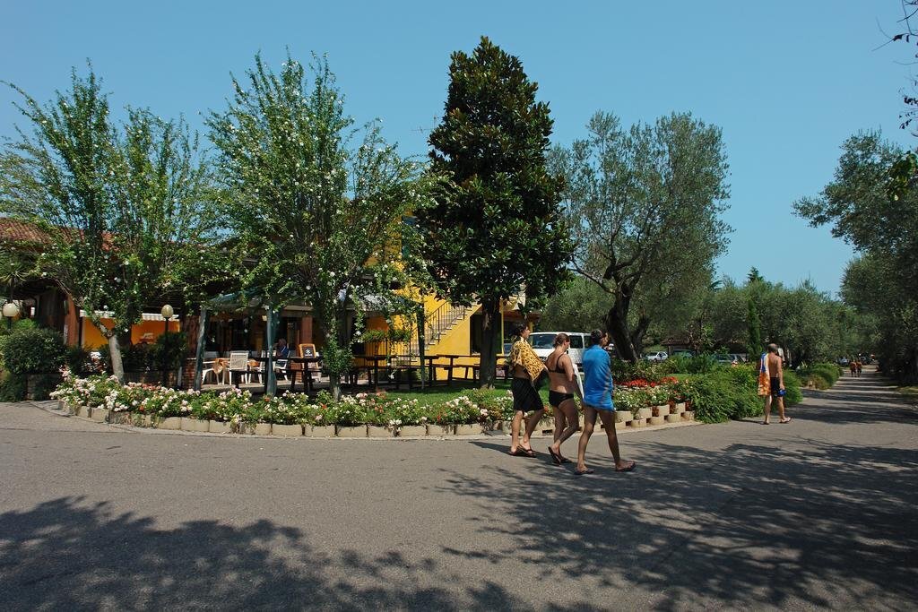 Image 12