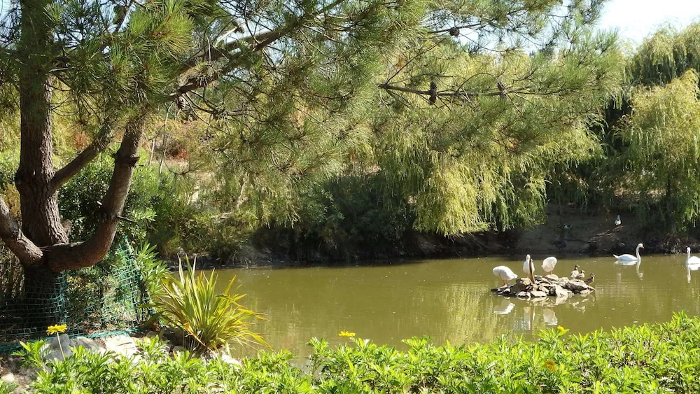 Jardins da Ria - Général