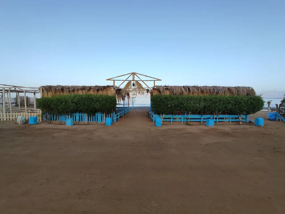 White palace camp ex camp david - фото 11